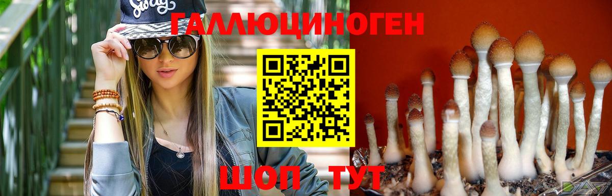 что такое   Вход с VPN  Миасс  Галлюциногенные грибы MAGIC MUSHROOMS 